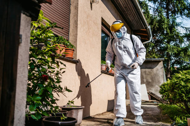 Wasp Removal Services in North College Hill, OH