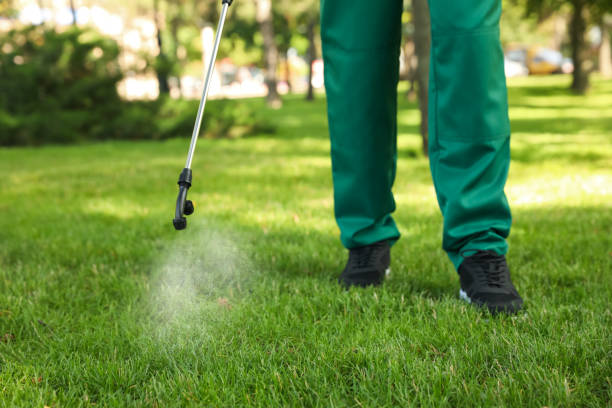 Best Wasp Removal Services  in North College Hill, OH