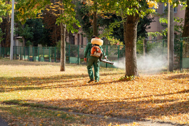 Best Spider Control Near Me  in North College Hill, OH
