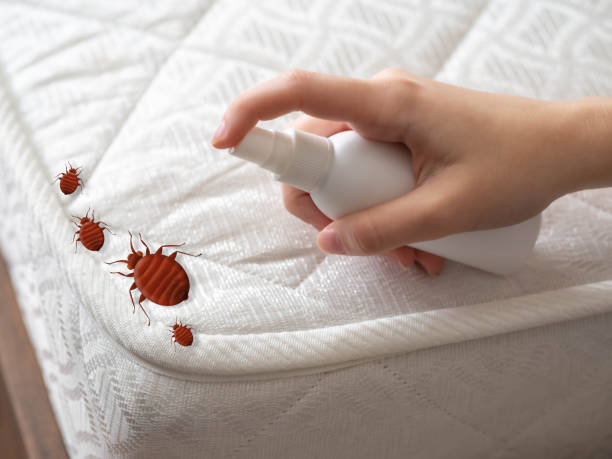 Reliable North College Hill, OH Pest Control Solutions
