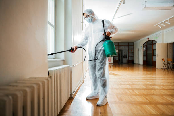 Best Insect Control  in North College Hill, OH