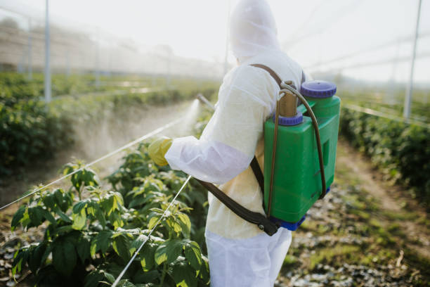 Best Local Pest Control Services  in North College Hill, OH